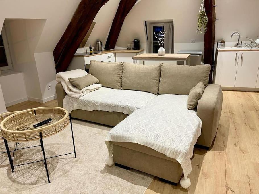 Appartement Cosy Centre Ville แซ็ง-ตาม็อง-มงทรง ภายนอก รูปภาพ